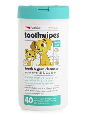 Vet-Approved Guide to Essential Dog Dental Care