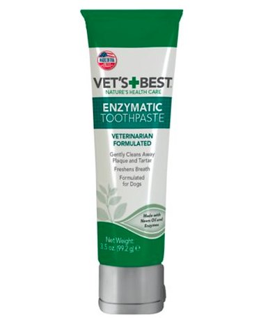 Vet-Approved Guide to Essential Dog Dental Care