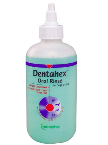 Vet-Approved Guide to Essential Dog Dental Care