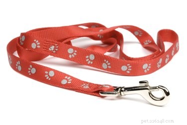 Create a Comprehensive First‑Aid Kit for Your Dog: Step‑by‑Step Guide