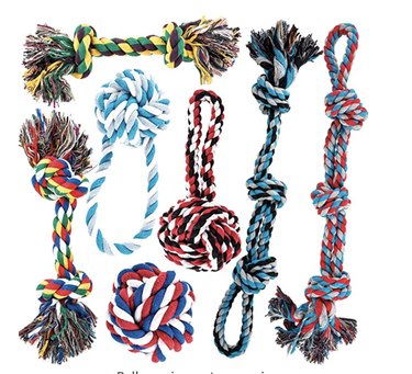 Complete Checklist for Adult Dogs: Essentials Every New Owner Needs