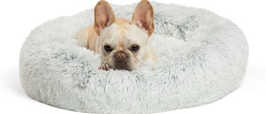 The Complete Guide to Essential Puppy Supplies