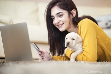 The Complete Guide to Essential Puppy Supplies