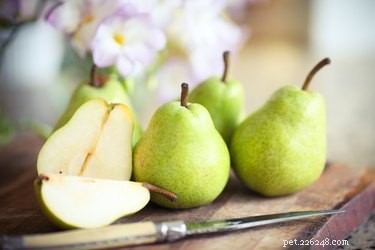 Are Pears Safe for Dogs? A Vet’s Guide to Feeding Pears