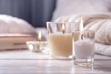Are Scented Candles Safe for Dogs? Expert Insights & Tips