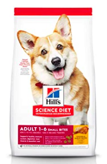 Top Dog Food Brands: Choose the Best Nutrition for Your Pup
