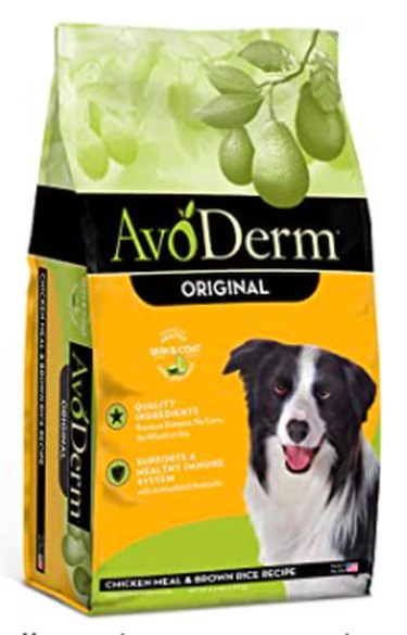 Top Dog Food Brands: Choose the Best Nutrition for Your Pup