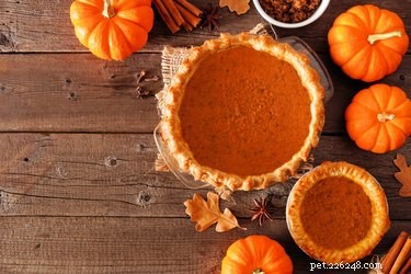 Can Dogs Safely Enjoy Pumpkin Pie? A Vet-Approved Guide