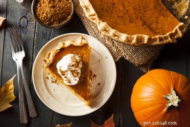Can Dogs Safely Enjoy Pumpkin Pie? A Vet-Approved Guide