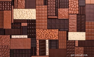 Immediate Steps if Your Dog Eats Chocolate: A Vet‑Approved Guide