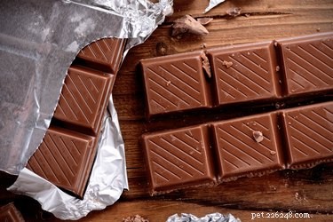 Immediate Steps if Your Dog Eats Chocolate: A Vet‑Approved Guide
