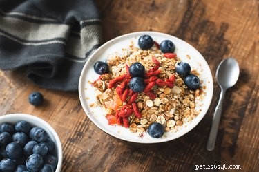 Is Granola Safe for Dogs? What You Need to Know