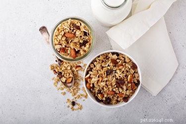 Is Granola Safe for Dogs? What You Need to Know