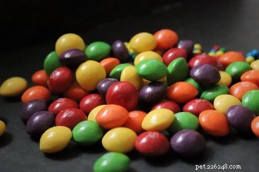 Are Skittles Safe for Dogs? A Comprehensive Guide