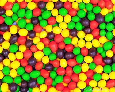 Are Skittles Safe for Dogs? A Comprehensive Guide