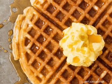 Waffles and Your Dog: Is It Safe?