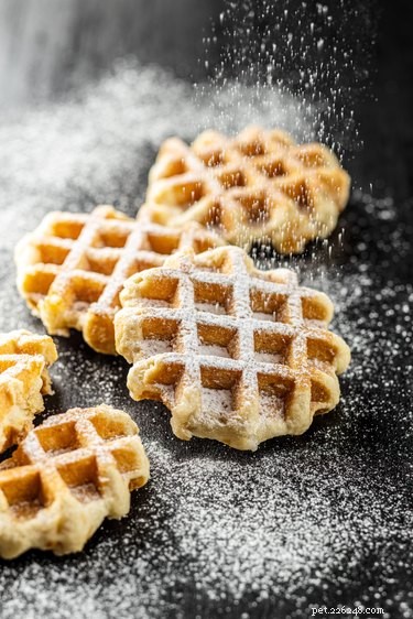 Waffles and Your Dog: Is It Safe?