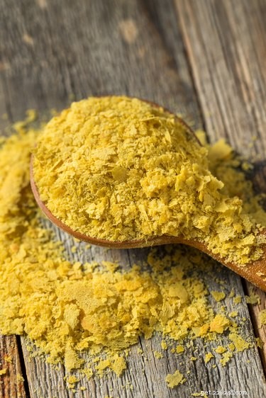 Is Nutritional Yeast Safe for Dogs?