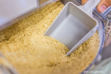 Is Nutritional Yeast Safe for Dogs?
