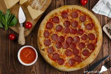 Is It Safe for Dogs to Eat Pizza? Health Tips & Guidelines