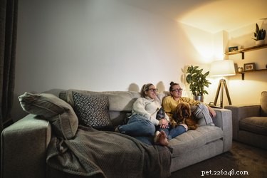 How Modern Technology Impacts Your Dog’s Health and Well‑Being