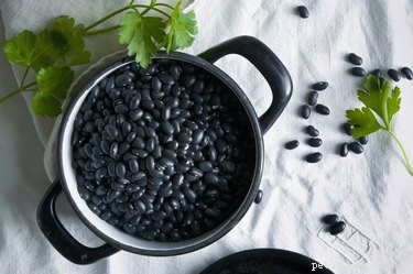Can Dogs Safely Eat Black Beans? A Vet s Guide