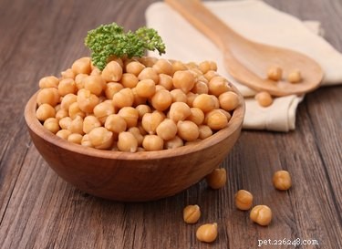 Are Chickpeas Safe for Dogs? A Guide to Feeding Your Pet Legumes