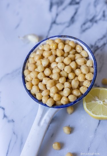 Are Chickpeas Safe for Dogs? A Guide to Feeding Your Pet Legumes