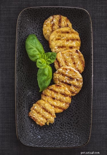 Is Tempeh Safe for Dogs? A Trusted Guide to Feeding Your Pet