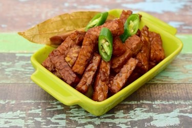 Is Tempeh Safe for Dogs? A Trusted Guide to Feeding Your Pet