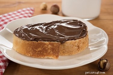 Is Nutella Safe for Dogs? What You Need to Know