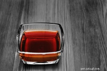 Is Soy Sauce Safe for Dogs? Expert Guidance