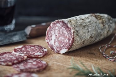 Can Dogs Safely Eat Salami? Risks and Alternatives