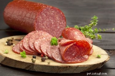 Can Dogs Safely Eat Salami? Risks and Alternatives