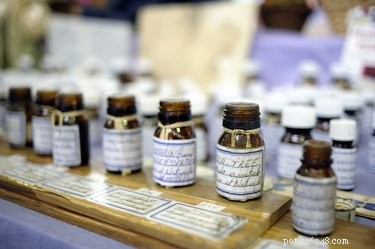 Tea Tree Oil and Pets: Understanding the Risks for Cats and Dogs