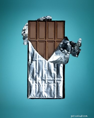 Why Dogs Should Never Eat Chocolate: The Science Behind the Poison