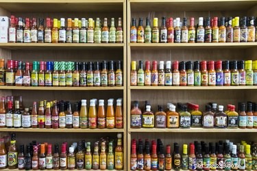 Can Dogs Safely Consume Hot Sauce? A Guide to Health & Safety