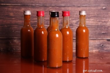 Can Dogs Safely Consume Hot Sauce? A Guide to Health & Safety