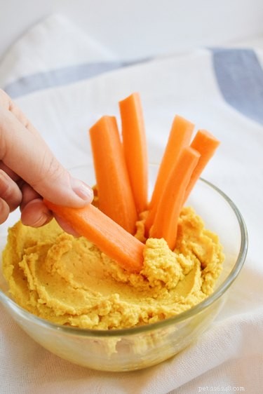Is Hummus Safe for Dogs? A Nutritional Guide