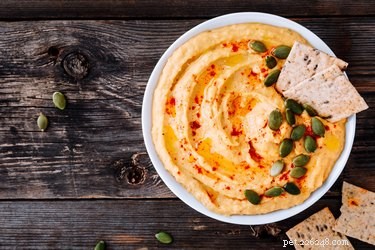 Is Hummus Safe for Dogs? A Nutritional Guide