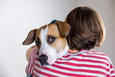 Do Dogs Experience Panic Attacks? Signs & How to Help