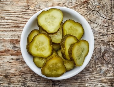 Are Pickles Safe for Dogs? A Trusted Guide for Pet Owners