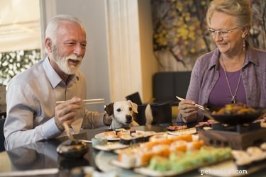 Is Sushi Safe for Dogs? A Guide for Pet Owners