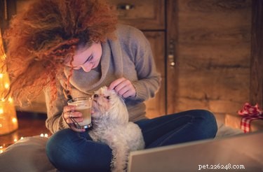 Is Nutmeg Safe for Dogs? Understanding the Risks and Guidelines