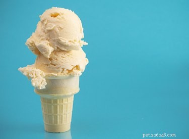 Is Ice Cream Safe for Dogs? What You Need to Know