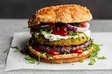 Are Plant‑Based Meats Safe for Dogs? A Veterinarian’s Guide