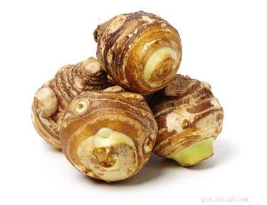 Is Taro Root Safe for Dogs? A Guide to Feeding Your Furry Friend