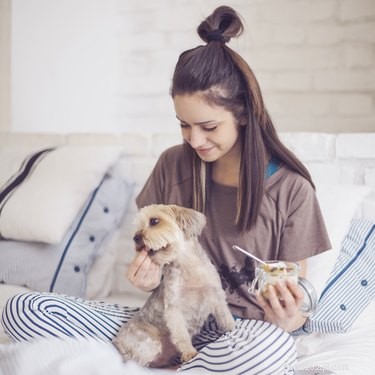 Do Dogs Benefit From Probiotics? A Guide for Pet Owners