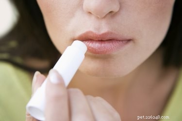 How to Handle Your Dog Eating Chapstick: Quick Steps & Safety Tips