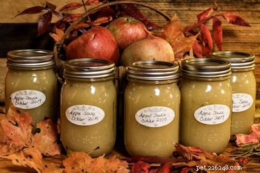 Is Applesauce Safe for Dogs? A Pet Owner’s Guide